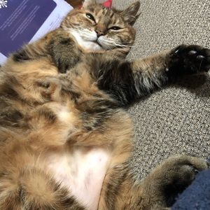 Meet your Posher, Amanda